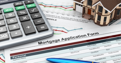 The Importance of Credit Checks